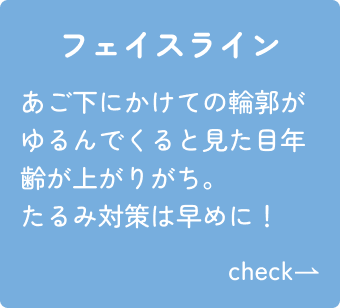 フェイスライン