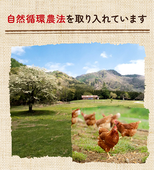自然循環農法を取り入れています