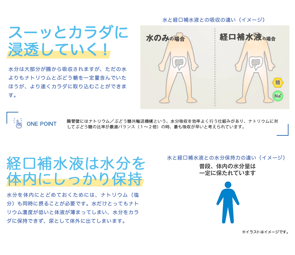 スーッとカラダに浸透していく！