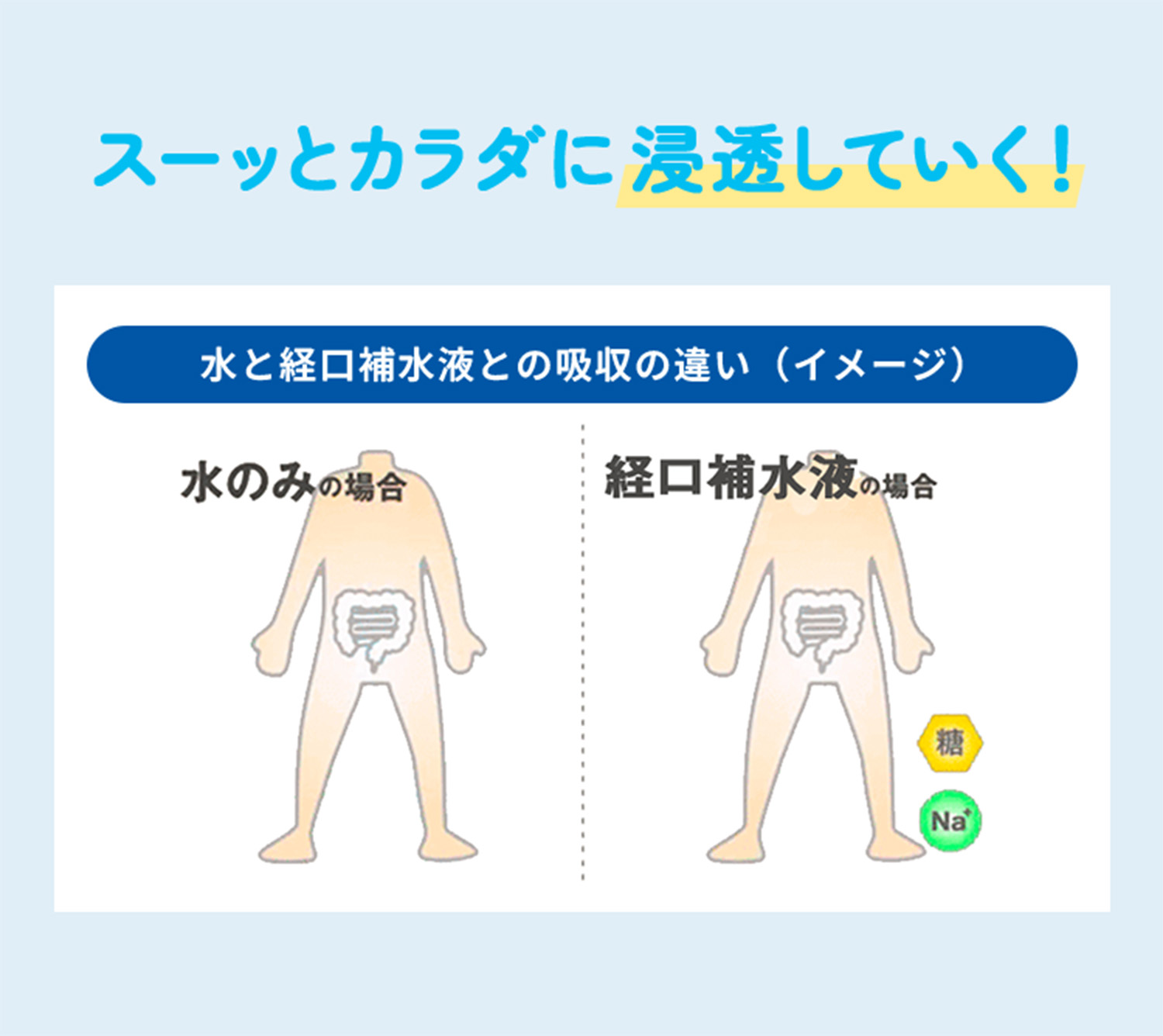 スーッとカラダに浸透していく！