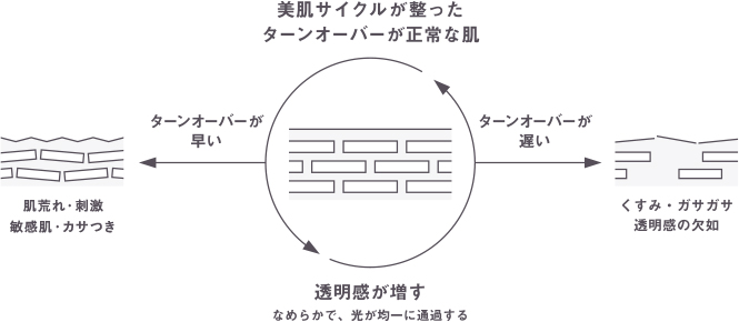 80人の成人女性を対象とした肌状態に関する自社調査データ