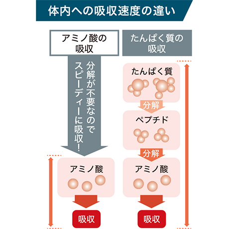 体内への吸収速度の違い