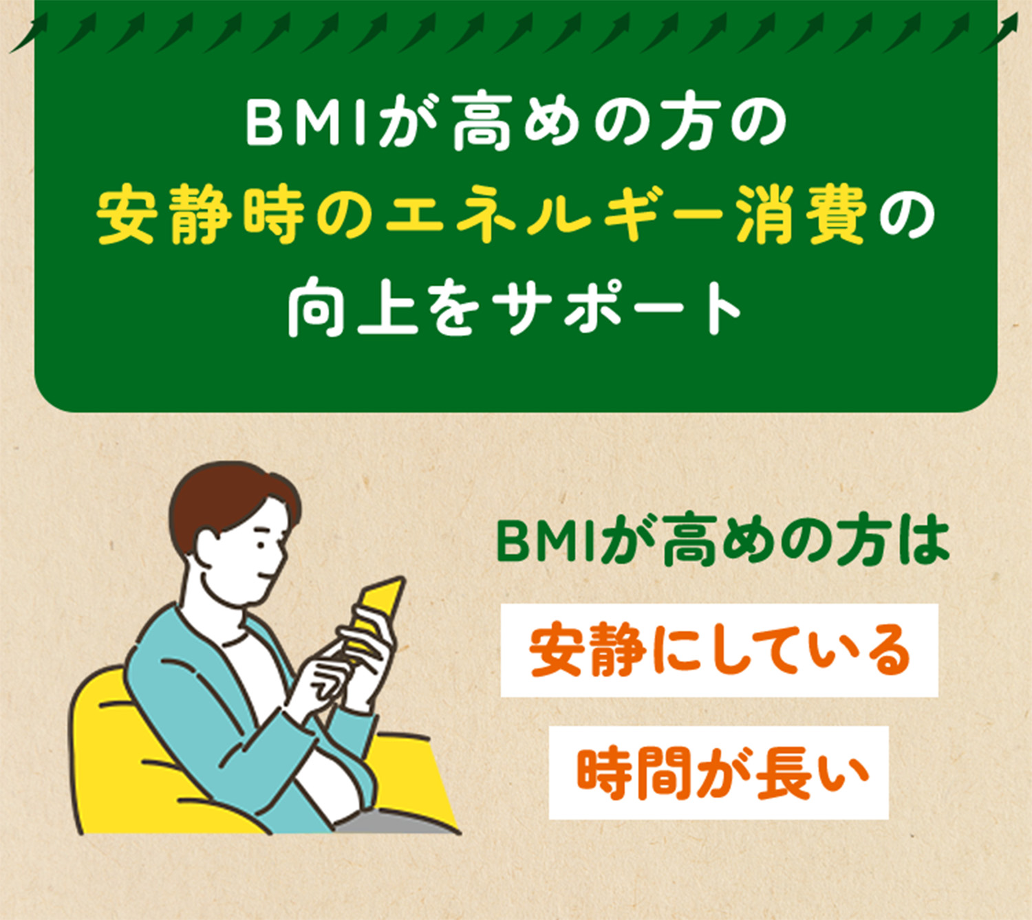 BMIが高めの方の安静時のエネルギー消費の向上をサポート