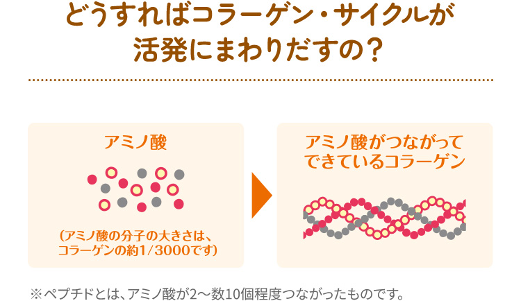 臨床試験で実証されたチカラ
