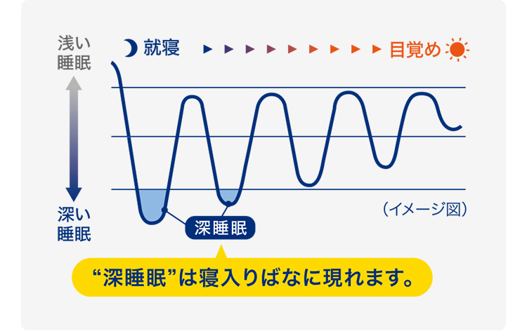 ぐっすり眠るカギは、”深睡眠”にあります。