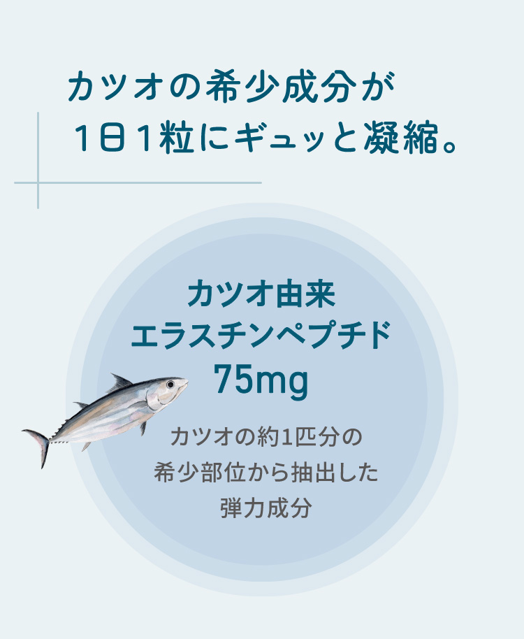 カツオの希少成分が１日１粒にギュッと凝縮。