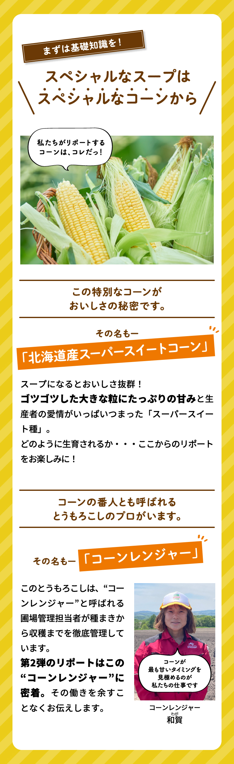 まずは基礎知識を！スペシャルなスープはスペシャルなコーンから