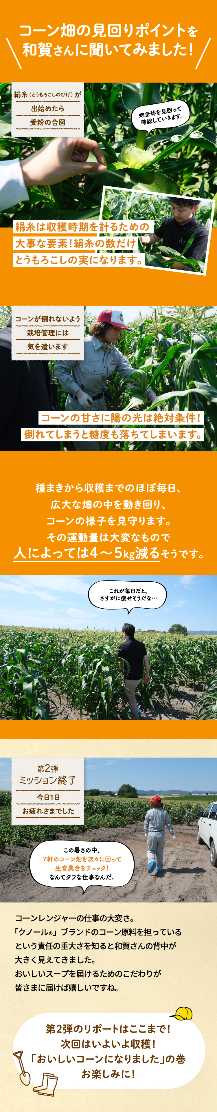 コーン畑の見回りポイントを和賀さんに聞いてみました