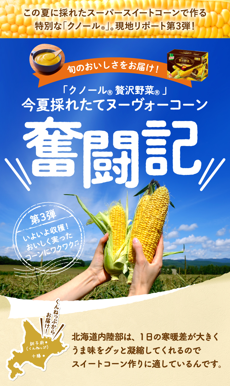 この夏に採れたスーパースイートコーンで作る特別な「クノール®」。現地リポート第3弾！