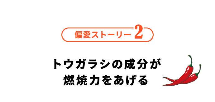 偏愛ストーリー2 トウガラシの成分が燃焼力をあげる