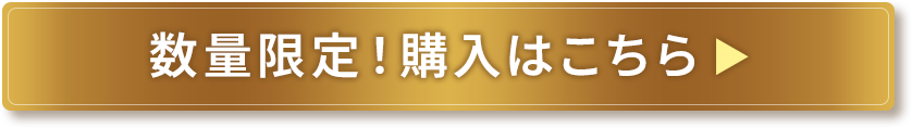 数量限定！購入はこちら